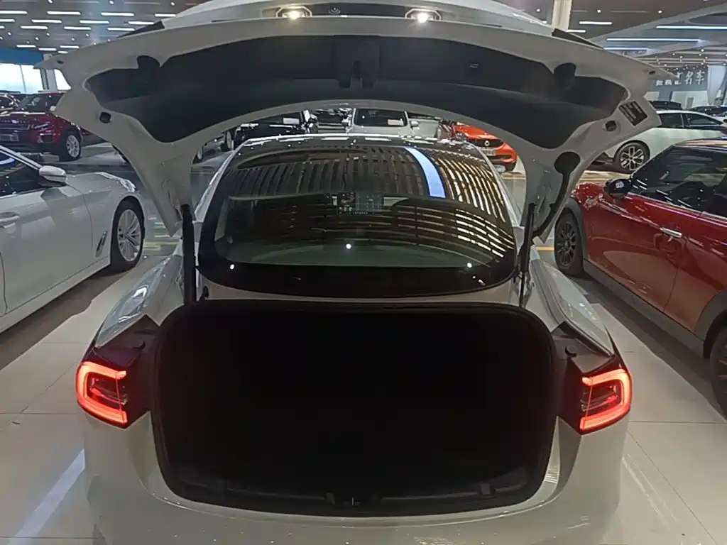 Tesla Model 3 — миниатюра 19