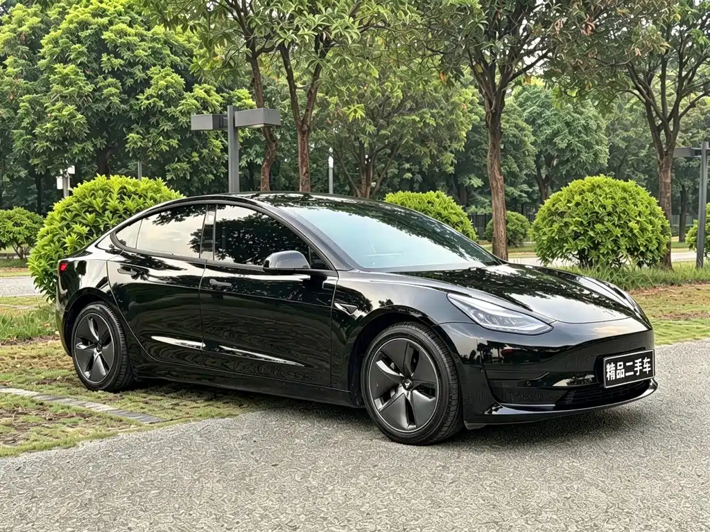 Tesla Model 3 — миниатюра 2