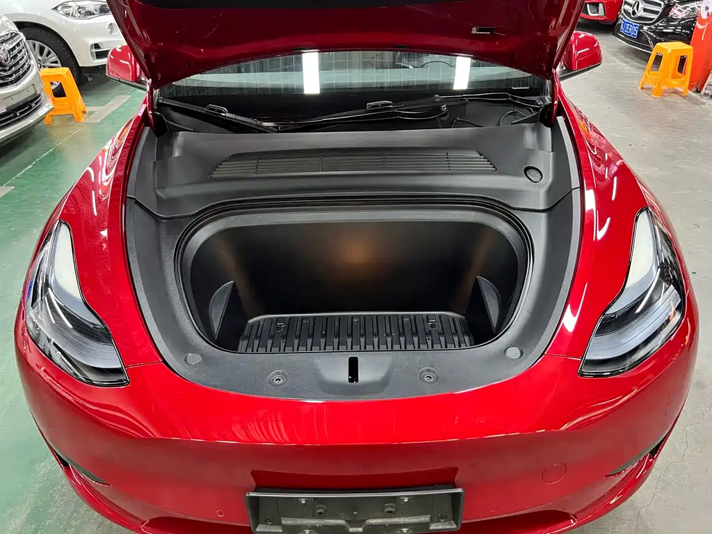 Tesla Model Y — миниатюра 19
