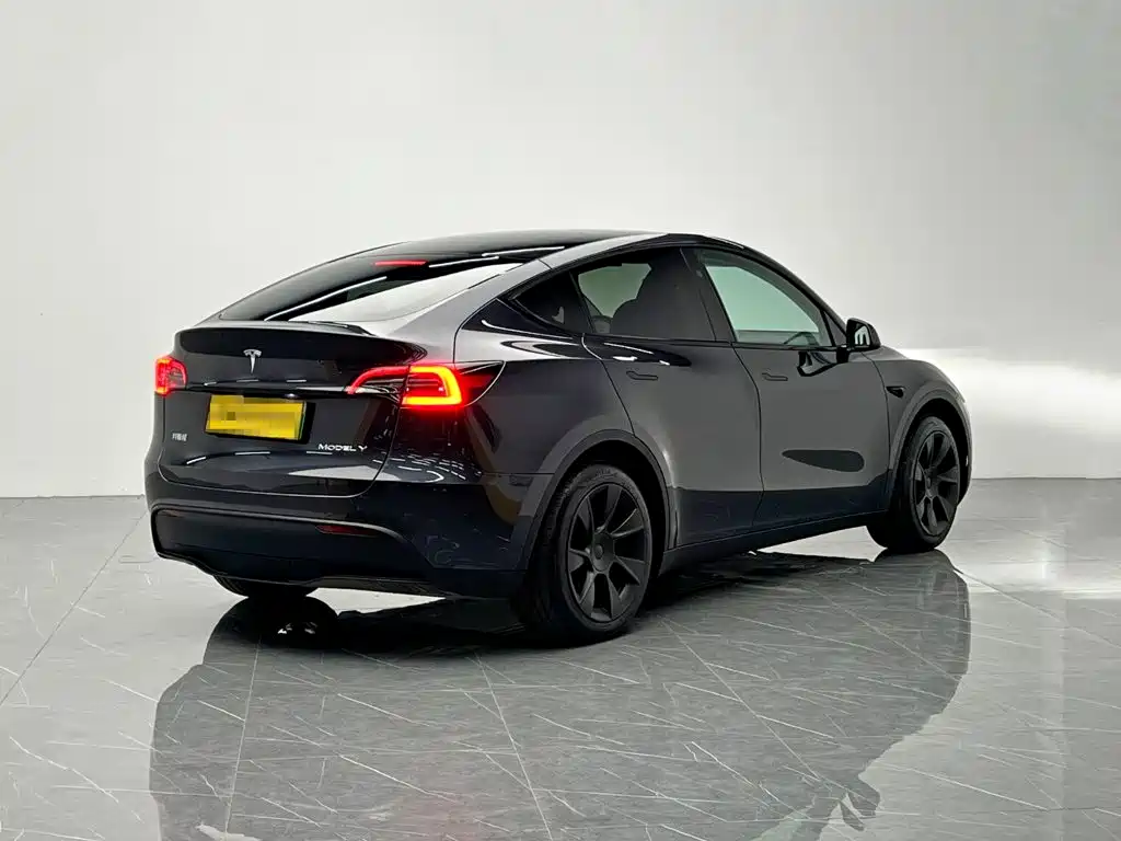 Tesla Model Y — миниатюра 6