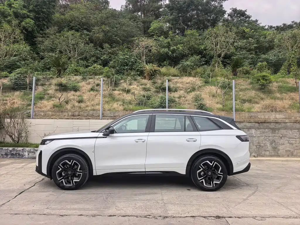 Volkswagen Tavendor — миниатюра 4