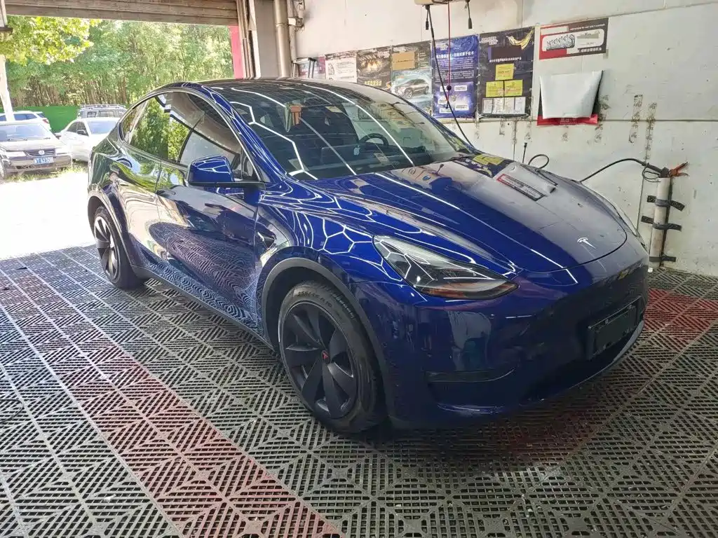 Tesla Model Y — миниатюра 2