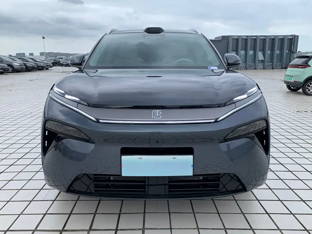 BYD Tang L — миниатюра 2