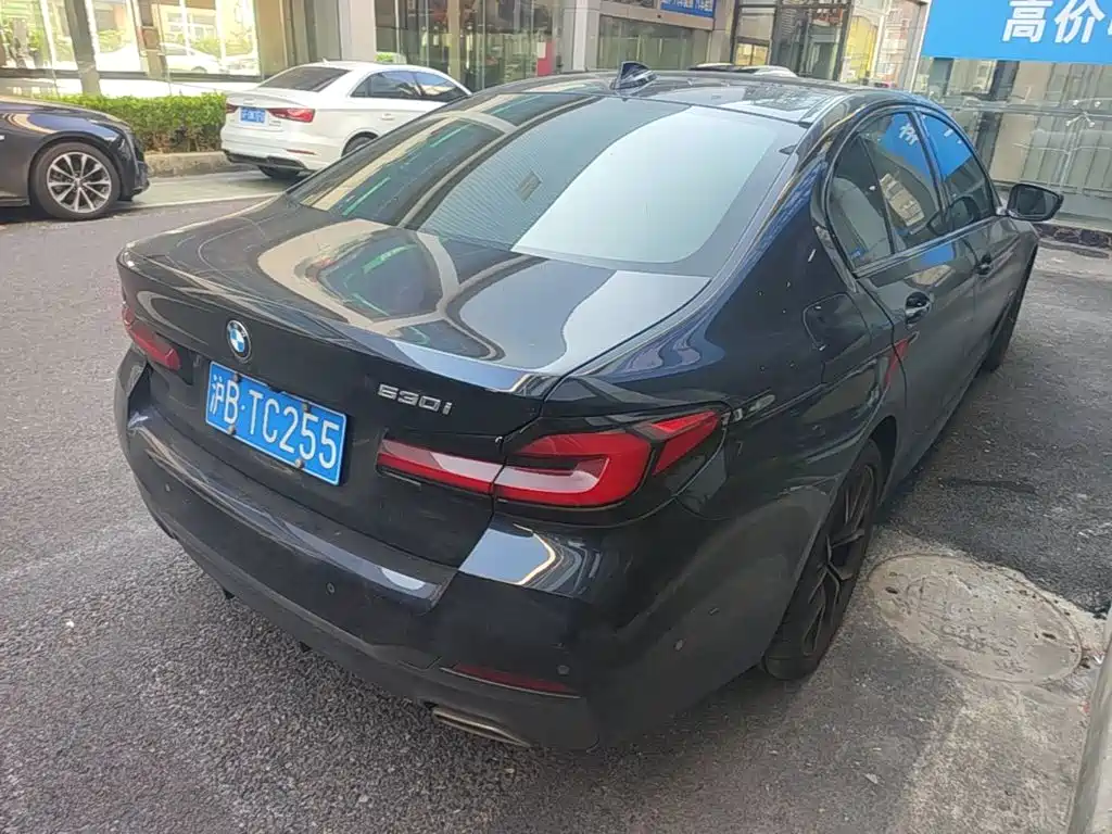 BMW 5 Series (Import) — миниатюра 4