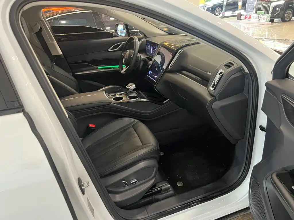 Hongqi Hongqi HS3 PHEV — миниатюра 9