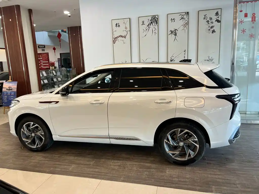 Hongqi Hongqi HS3 PHEV — миниатюра 3