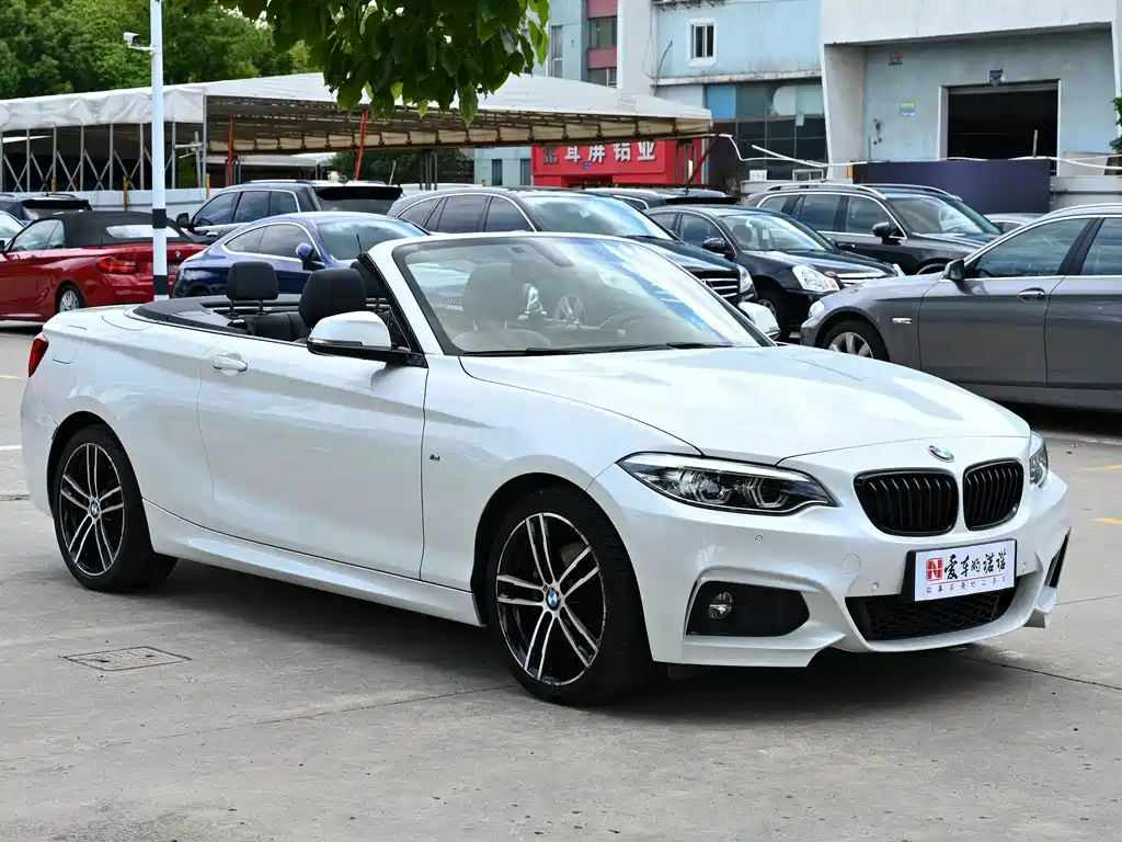 BMW 2 Series (Import) — миниатюра 5