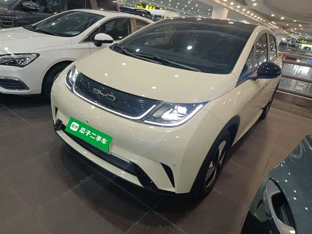 Byd Dolphin 2023