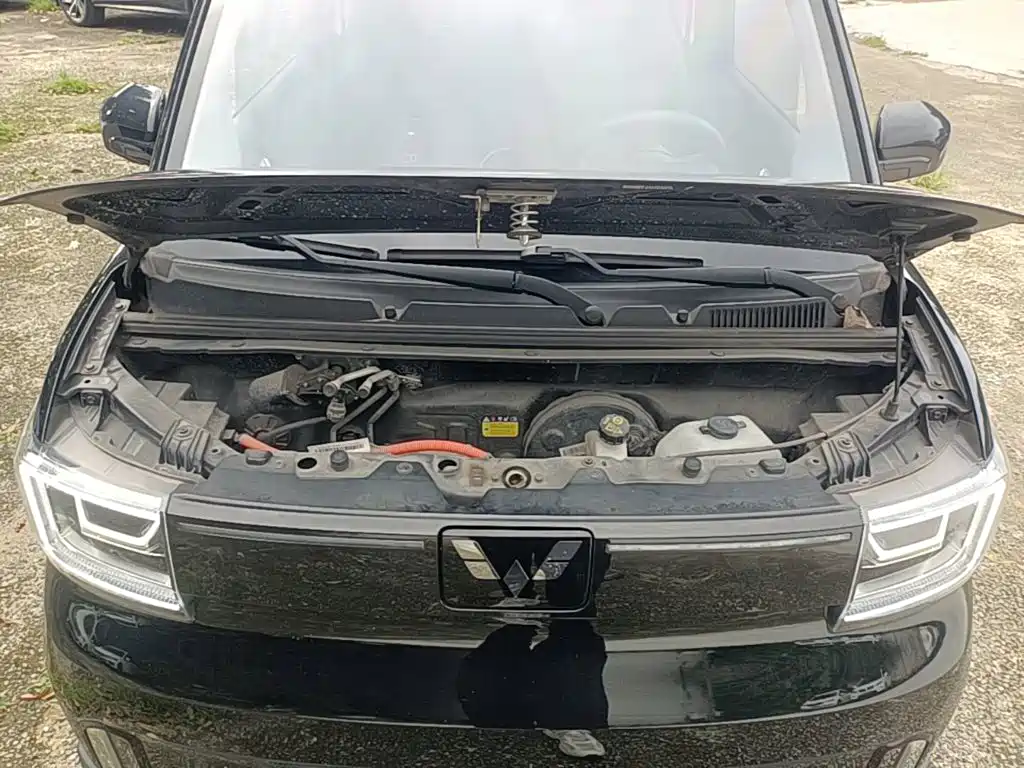 Wuling MINIEV — миниатюра 20