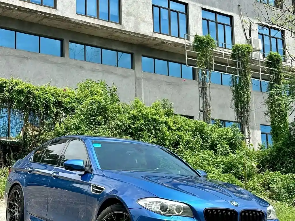 BMW M5 — миниатюра 2