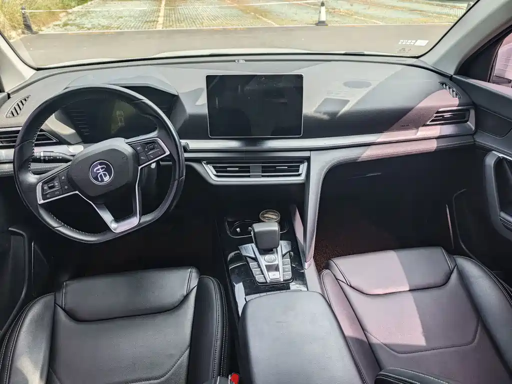 BYD Pro — миниатюра 6