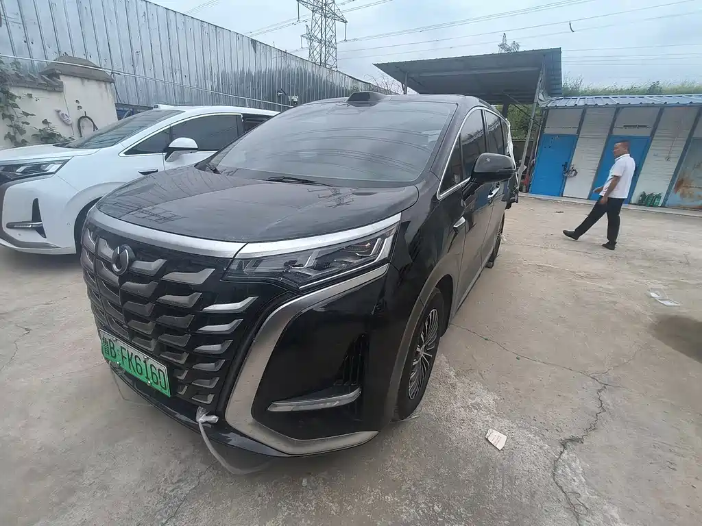 Denza Denza D9