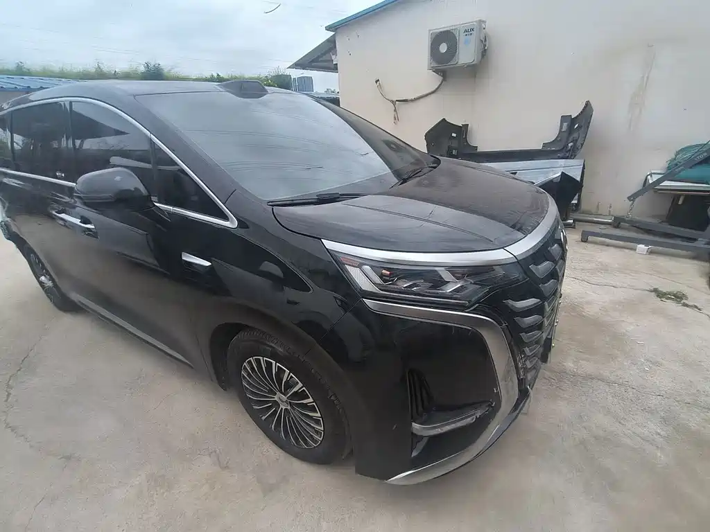 Denza Denza D9 — миниатюра 3