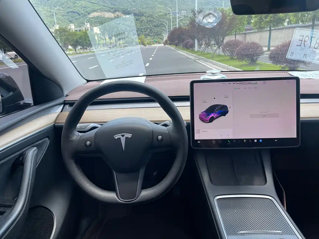 Tesla Model Y — фотографии объявления, Фото 11