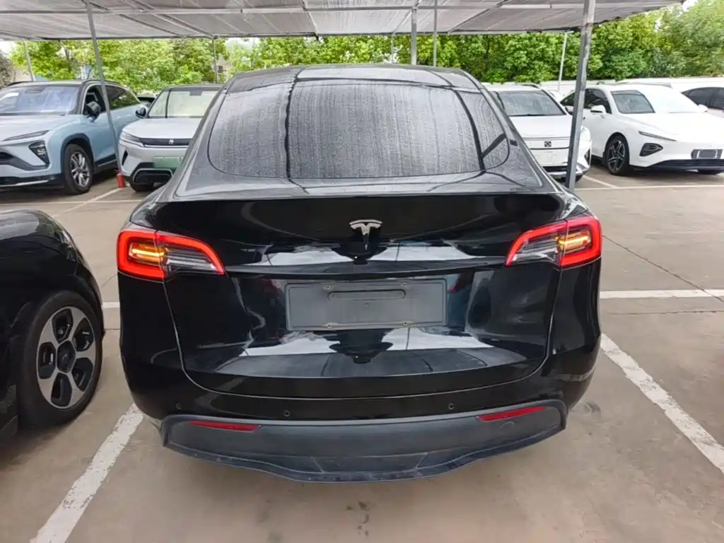 Tesla Model Y — миниатюра 6