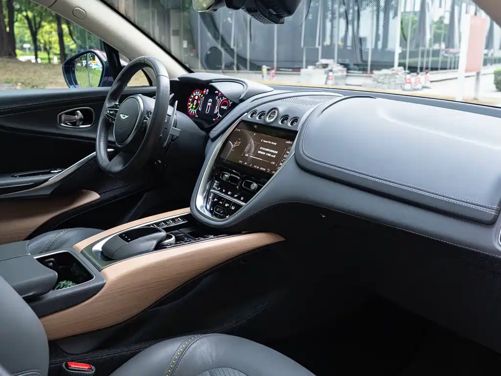 Aston Martin DBX — миниатюра 19