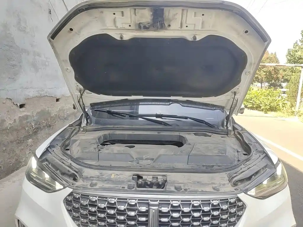 Wey Wey VV6 — миниатюра 20
