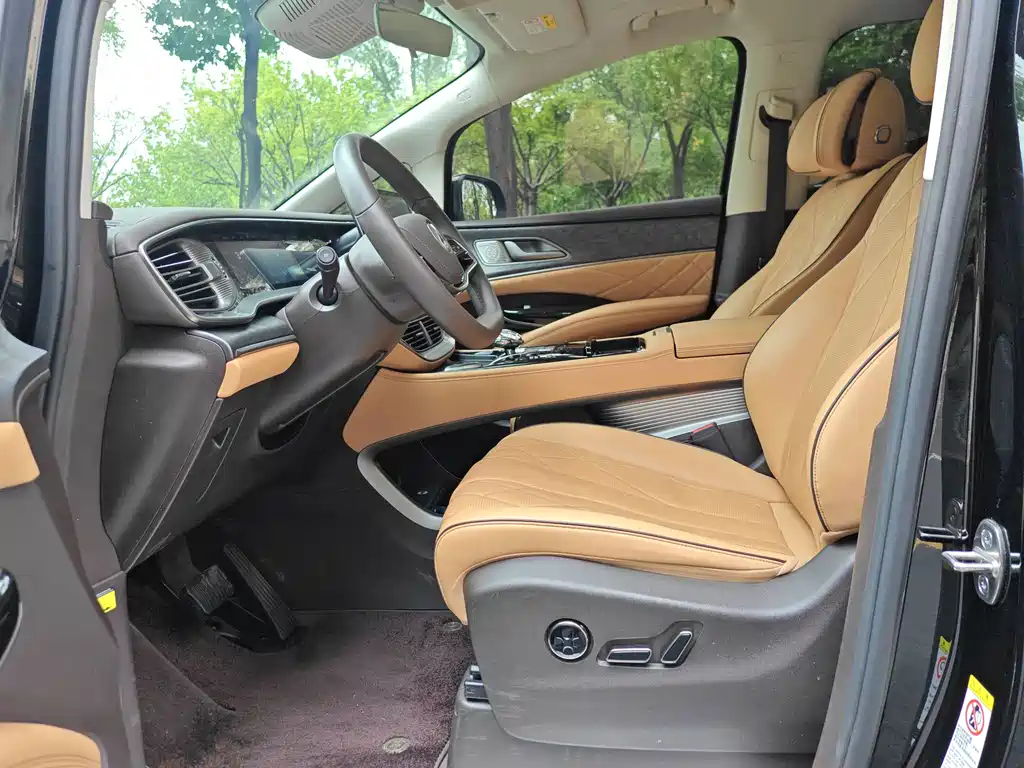 Denza Denza D9 — миниатюра 12
