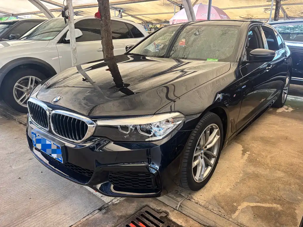 BMW 5 Series 2019