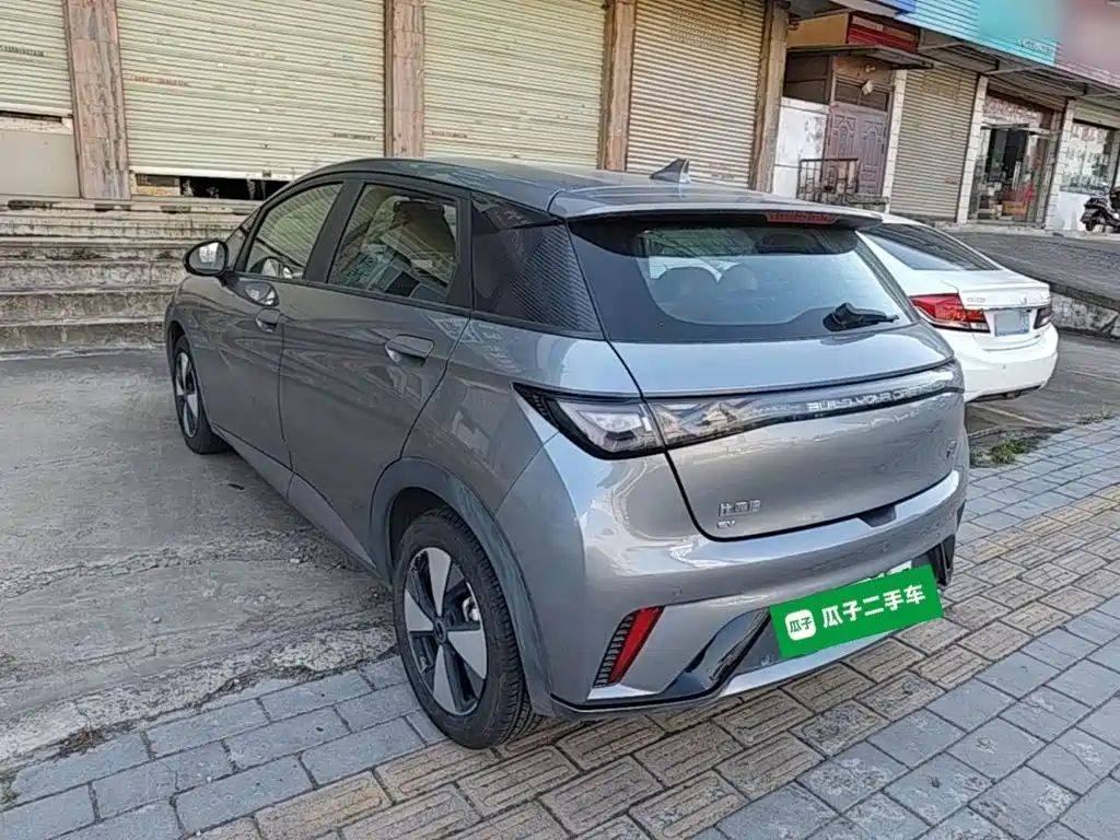 BYD Dolphin — миниатюра 5
