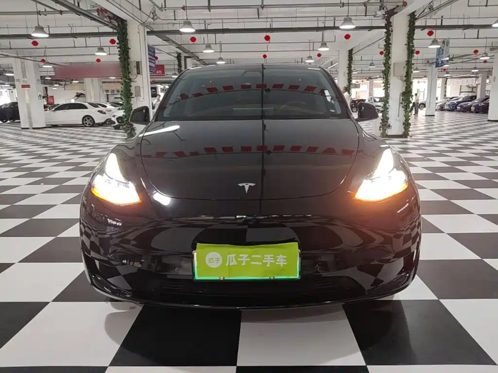 Tesla Model Y — миниатюра 3