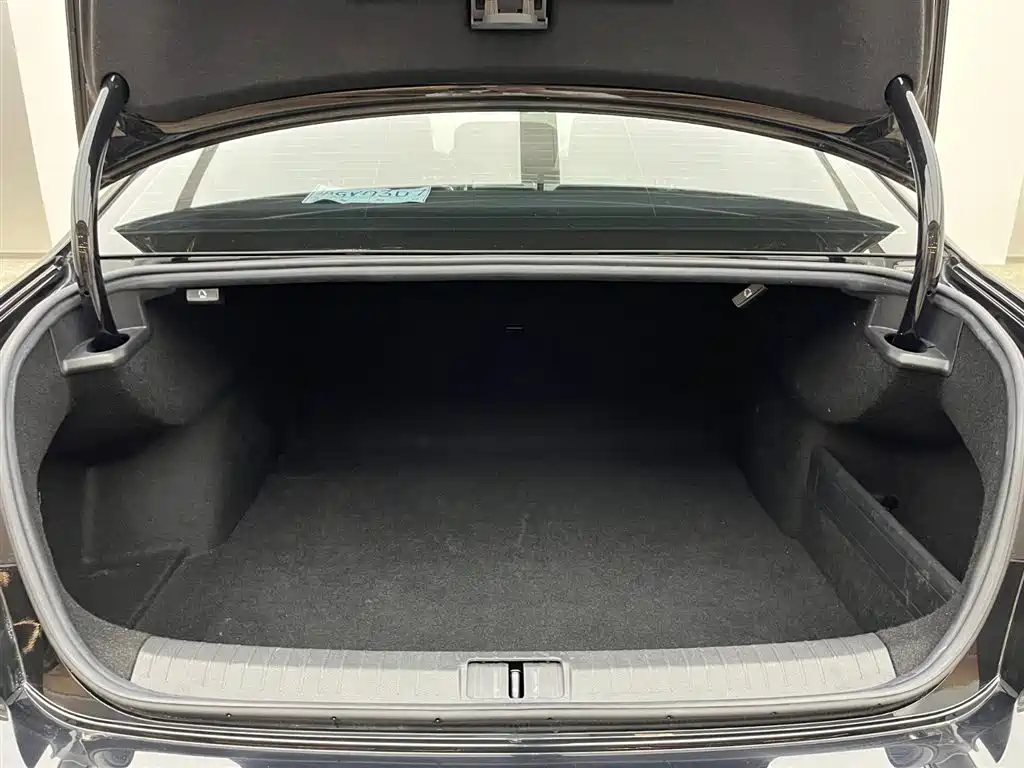 Volkswagen Magotan 2023 200 330TSI DSG Lead
