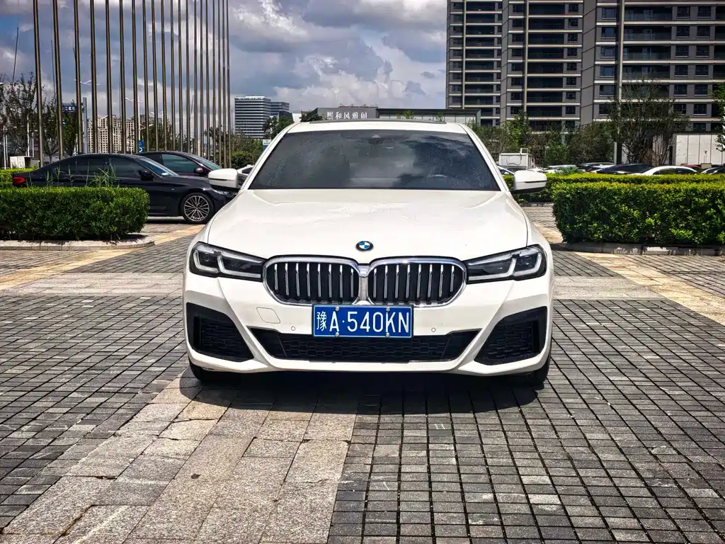 BMW 5 Series (Import) — миниатюра 2