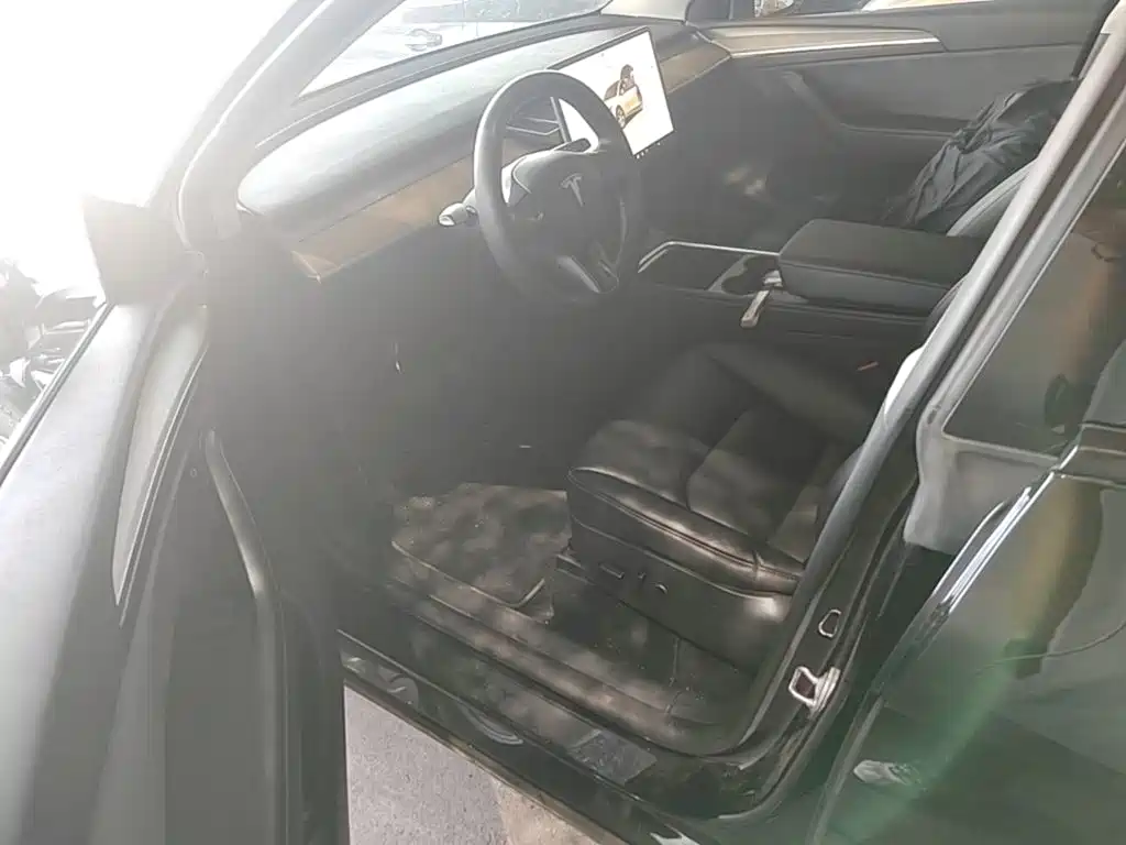 Tesla Model Y — миниатюра 16