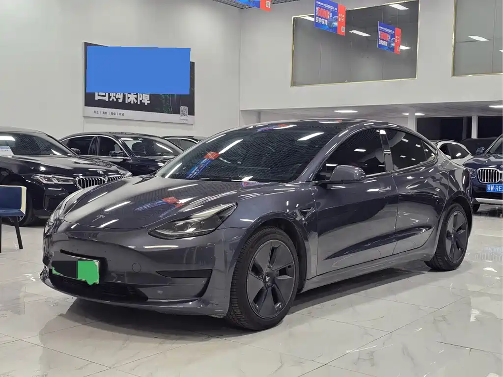 Tesla Model 3 2021
