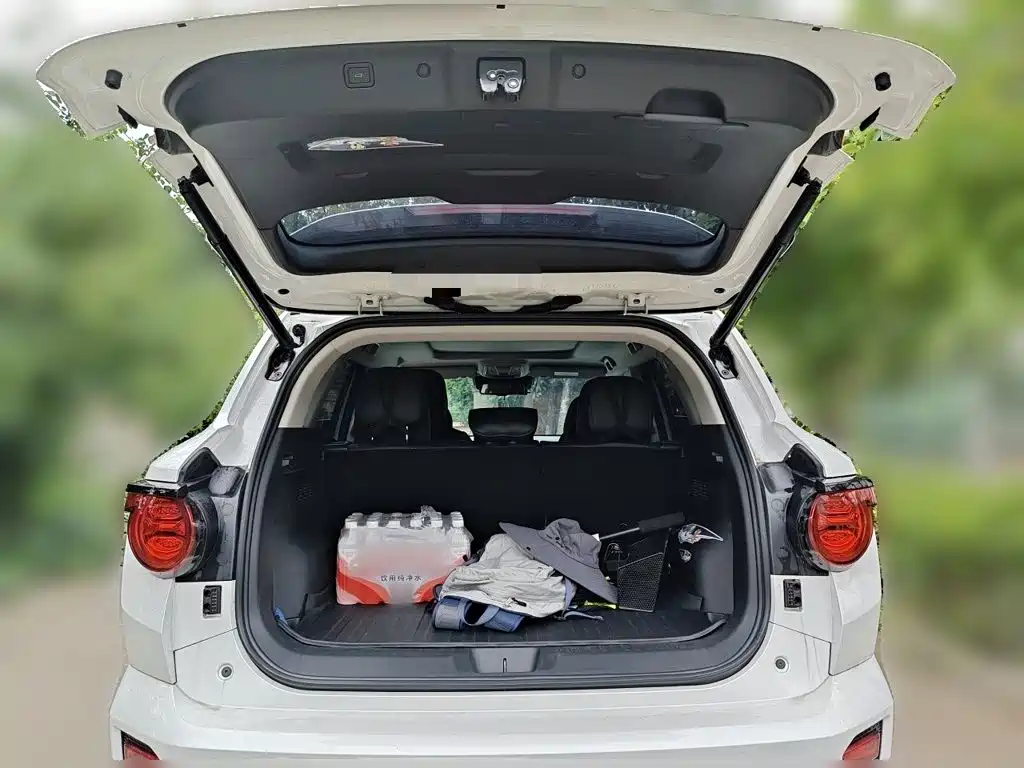 Haval Haval Big Dog PLUS — миниатюра 10