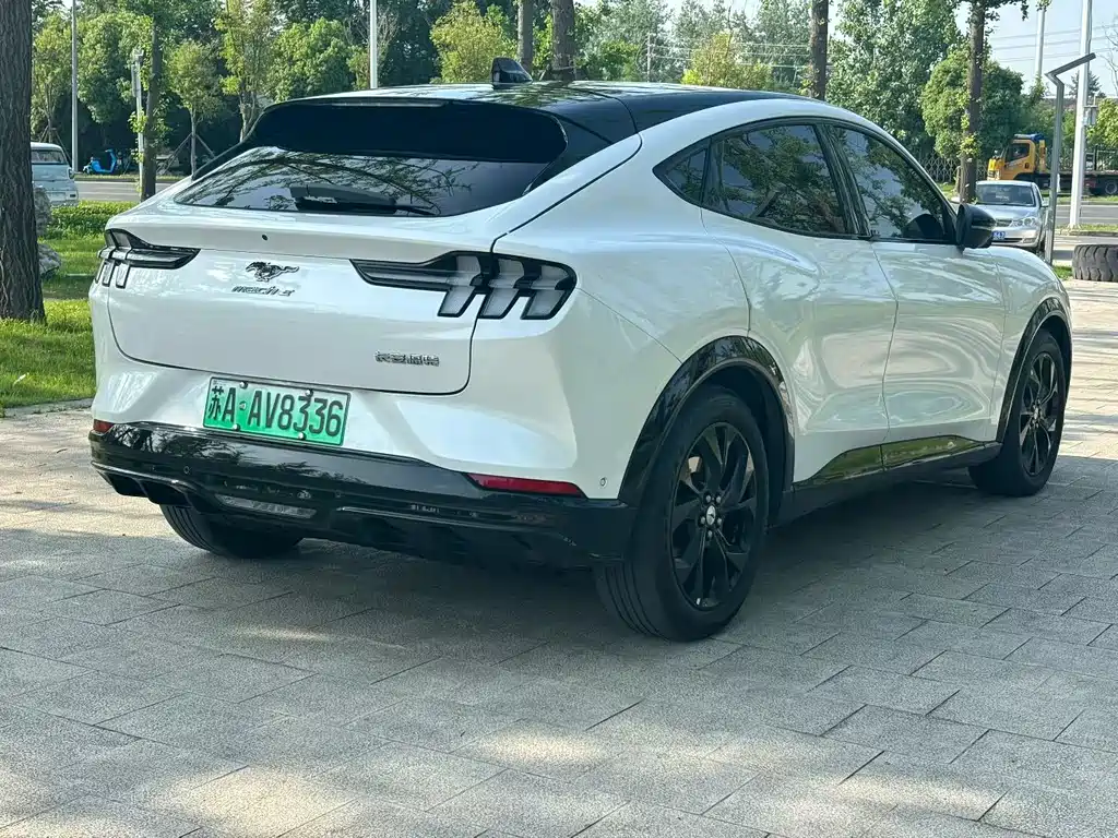 Ford Mustang Mach-E — миниатюра 5