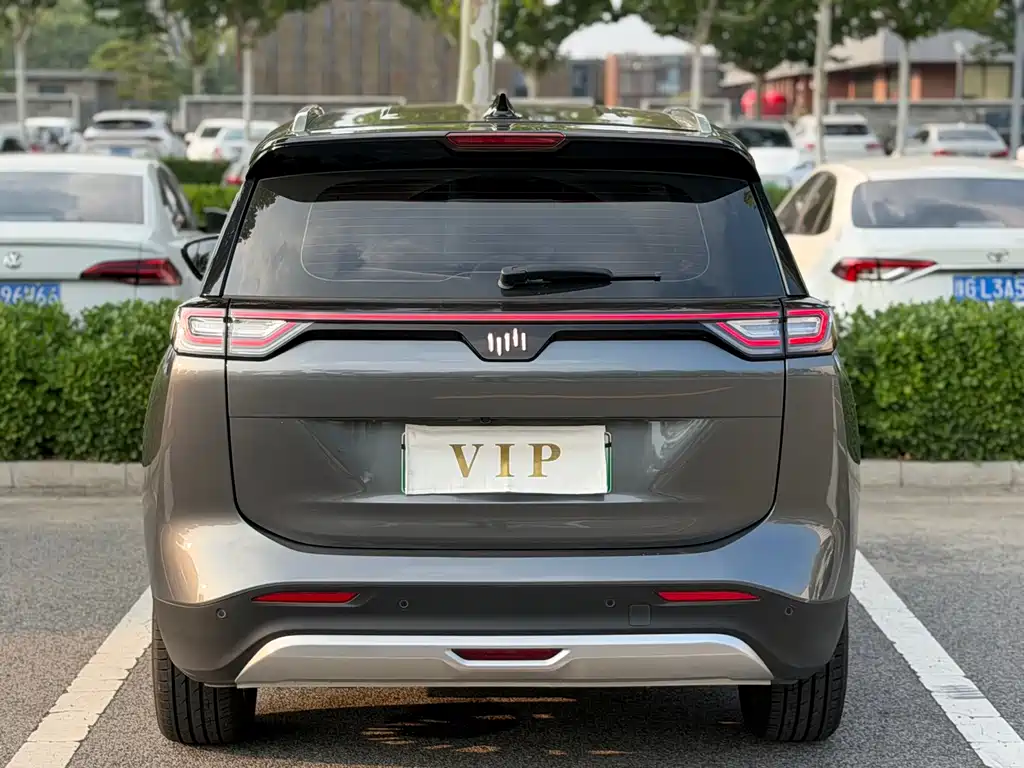 WM Motor W6 — миниатюра 4