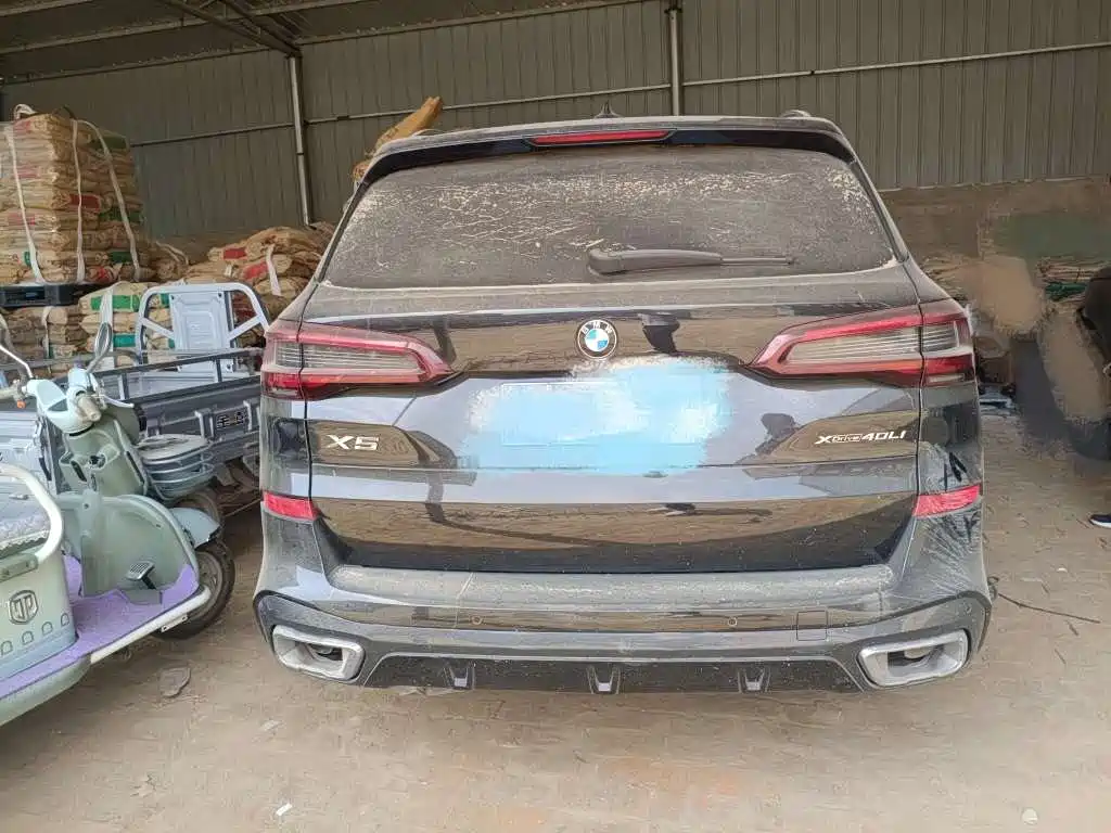 BMW X5 2022 xDrive 30Li Premium M Sport
