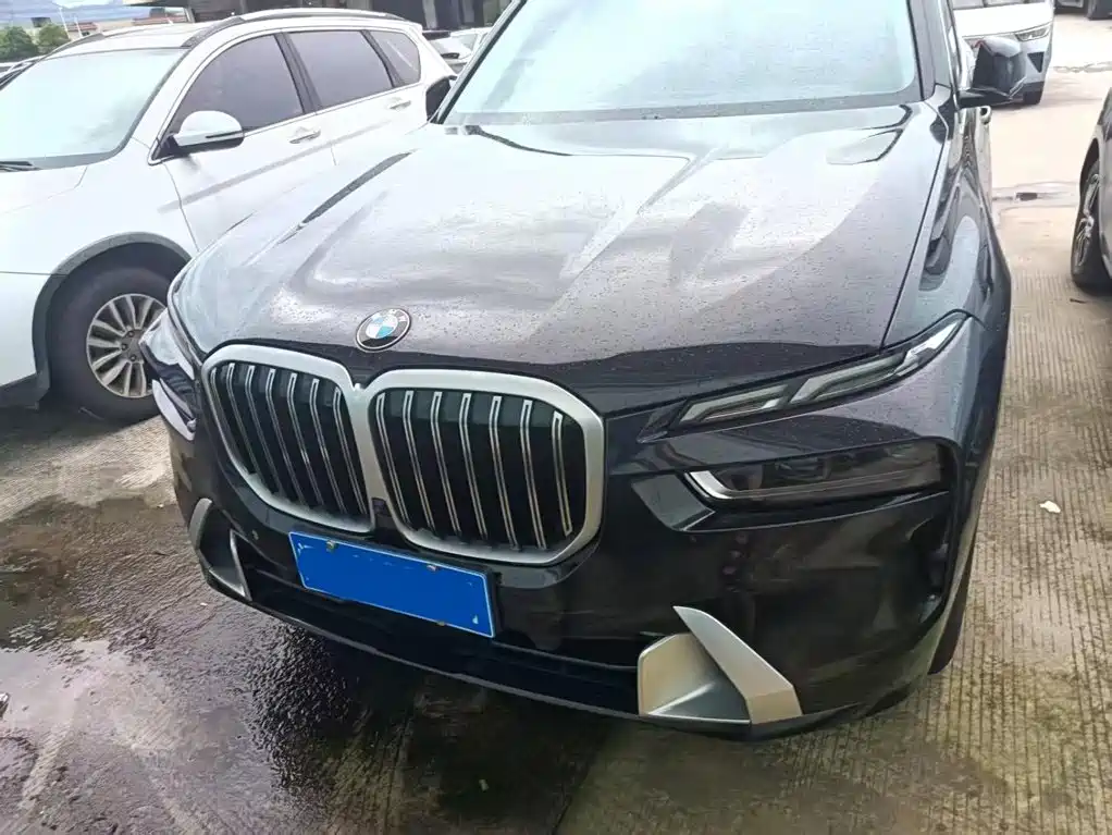 BMW X7 — миниатюра 5