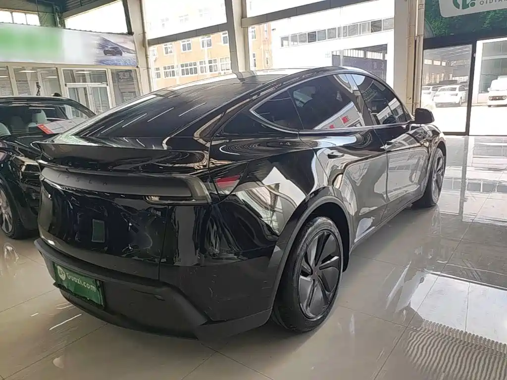 Tesla Model Y — миниатюра 7