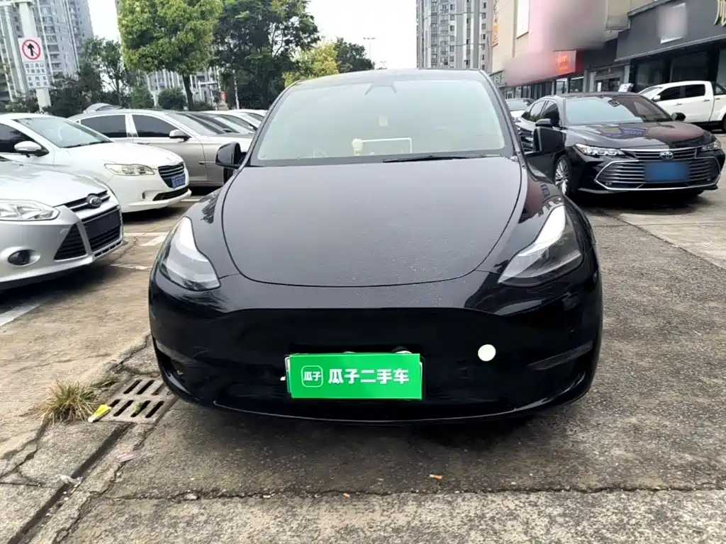 Tesla Model Y — миниатюра 3