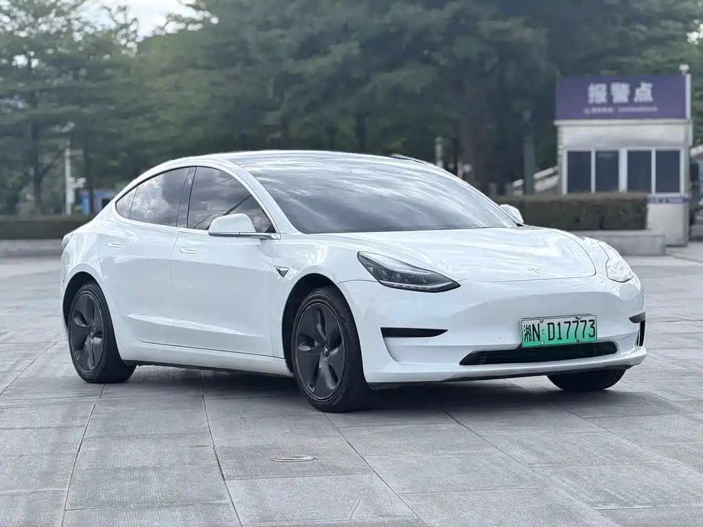Tesla Model 3 — миниатюра 3