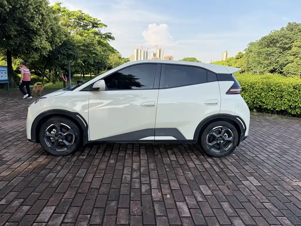 BYD Seagull