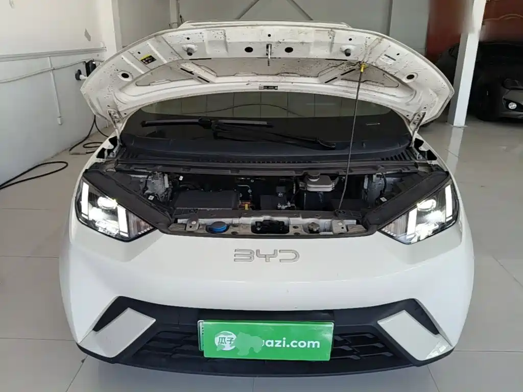 BYD Seagull — миниатюра 20