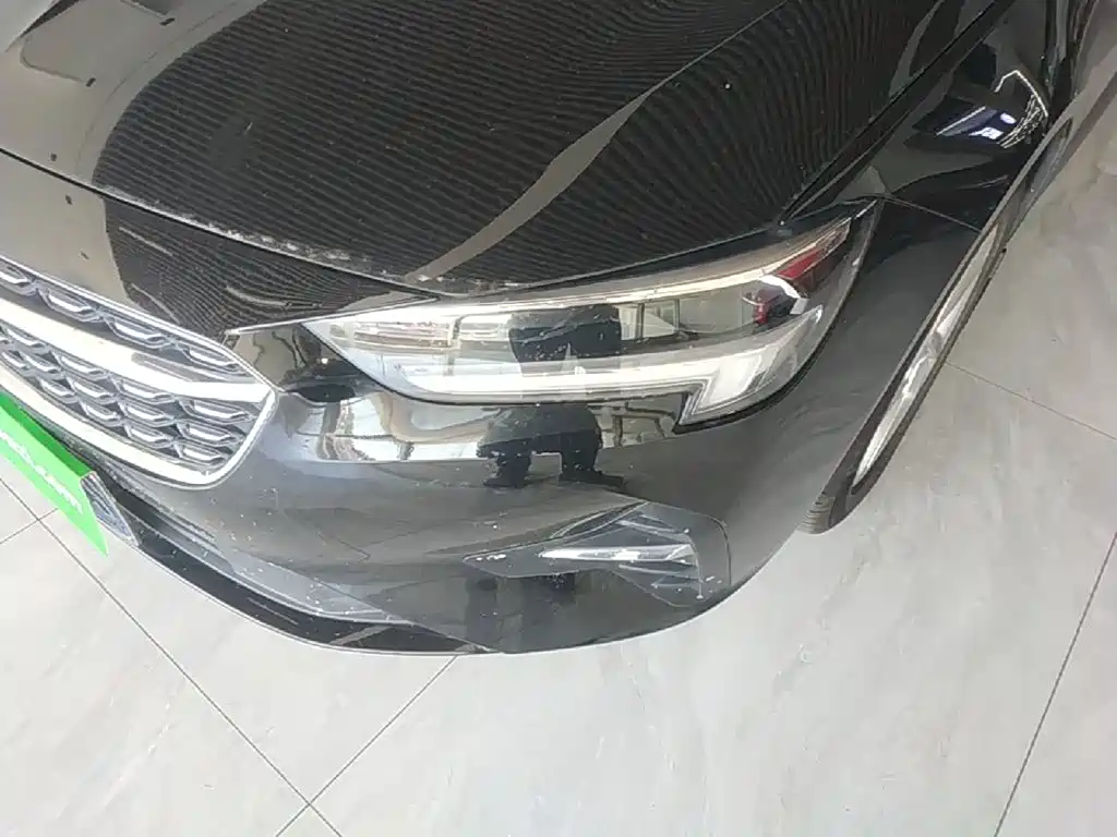 Buick Regal — миниатюра 24
