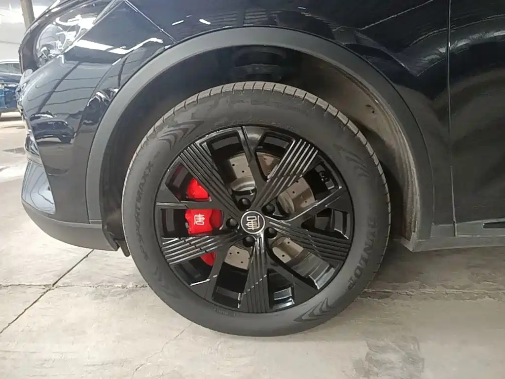 BYD Tang New Energy — миниатюра 23