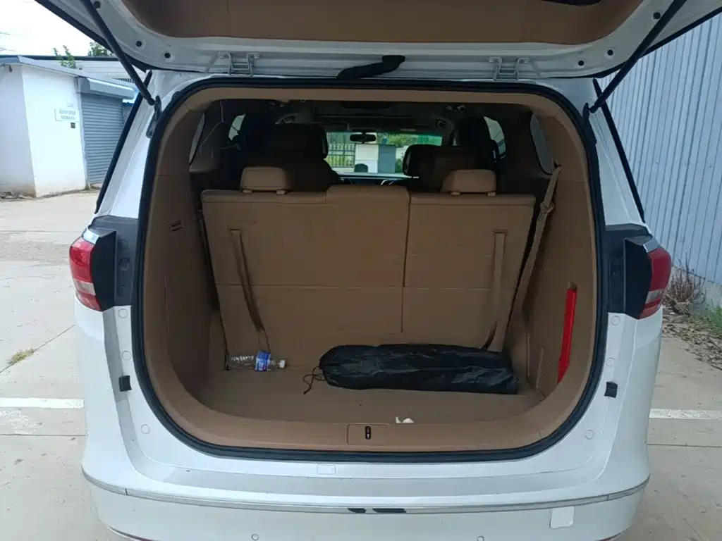 Buick GL8 — миниатюра 19