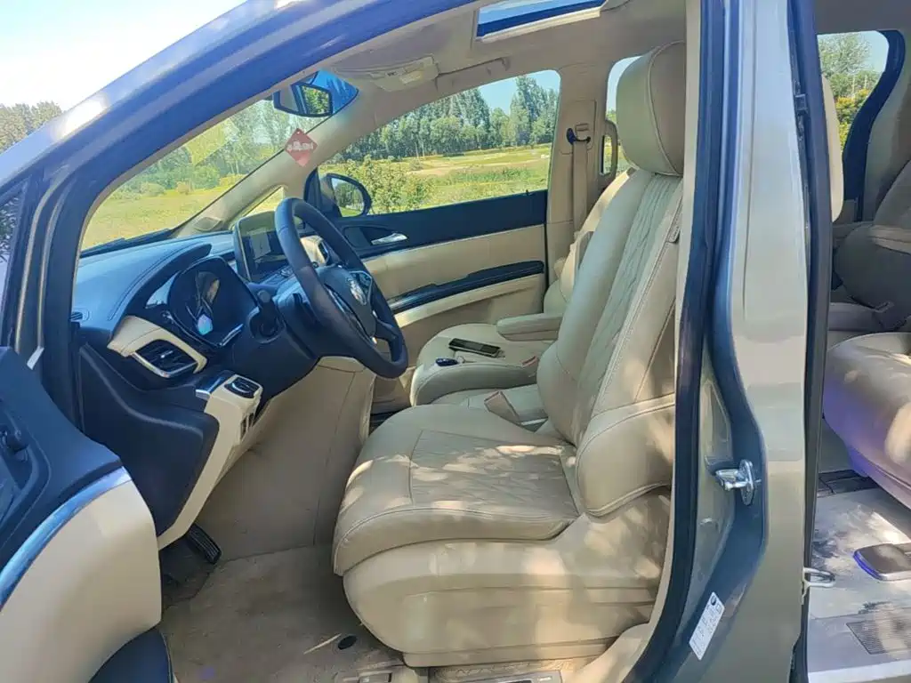 Buick GL8 — миниатюра 15