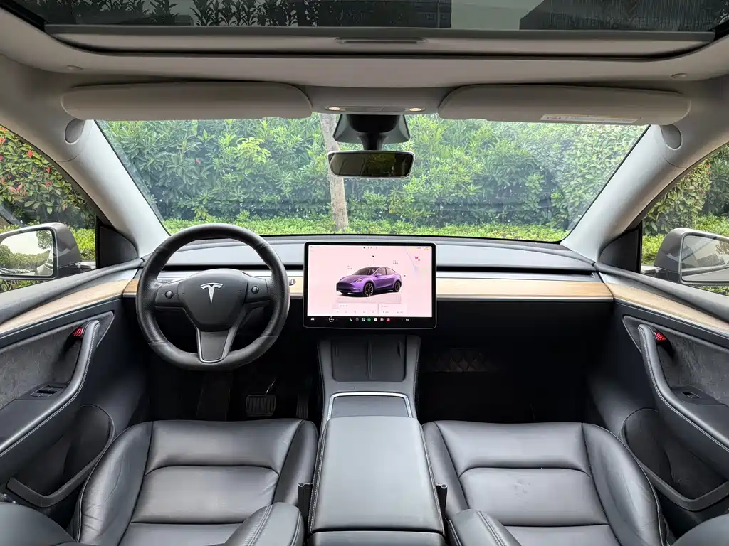Tesla Model Y — миниатюра 8
