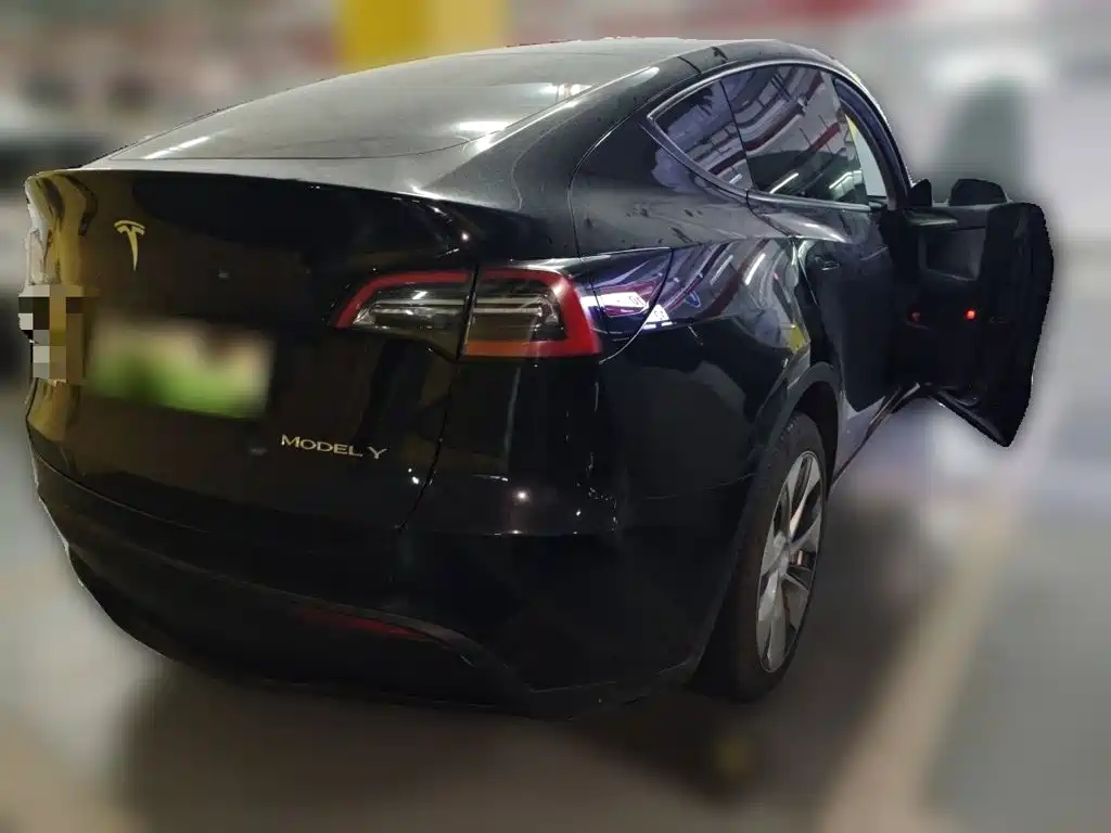 Tesla Model Y — миниатюра 4