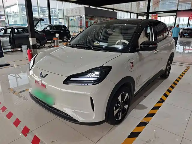 WULING AUTOMOBILE WULING BINGGUO PLUS 2024