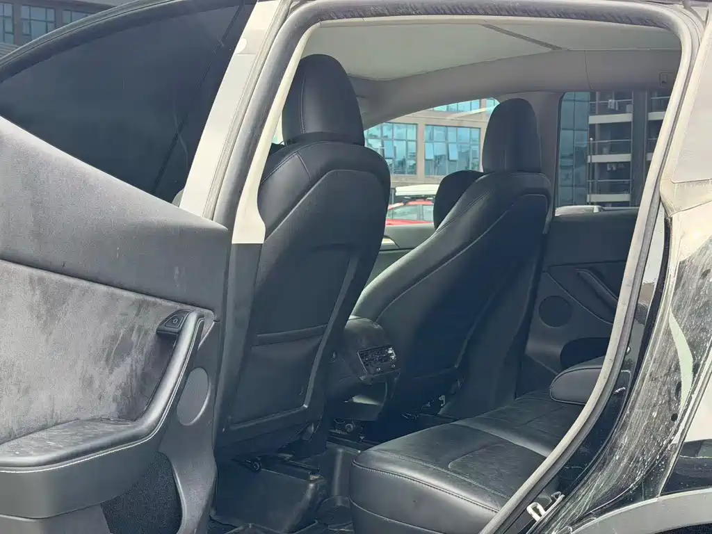 Tesla Model Y — миниатюра 6