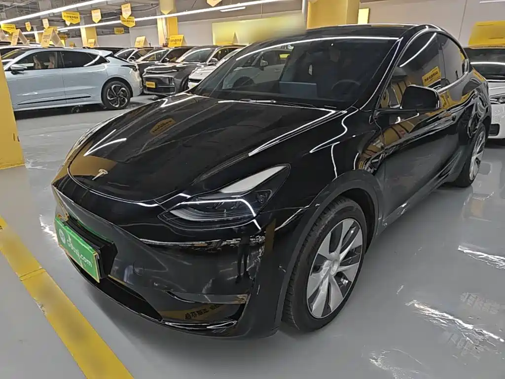 Tesla Model Y — миниатюра 2