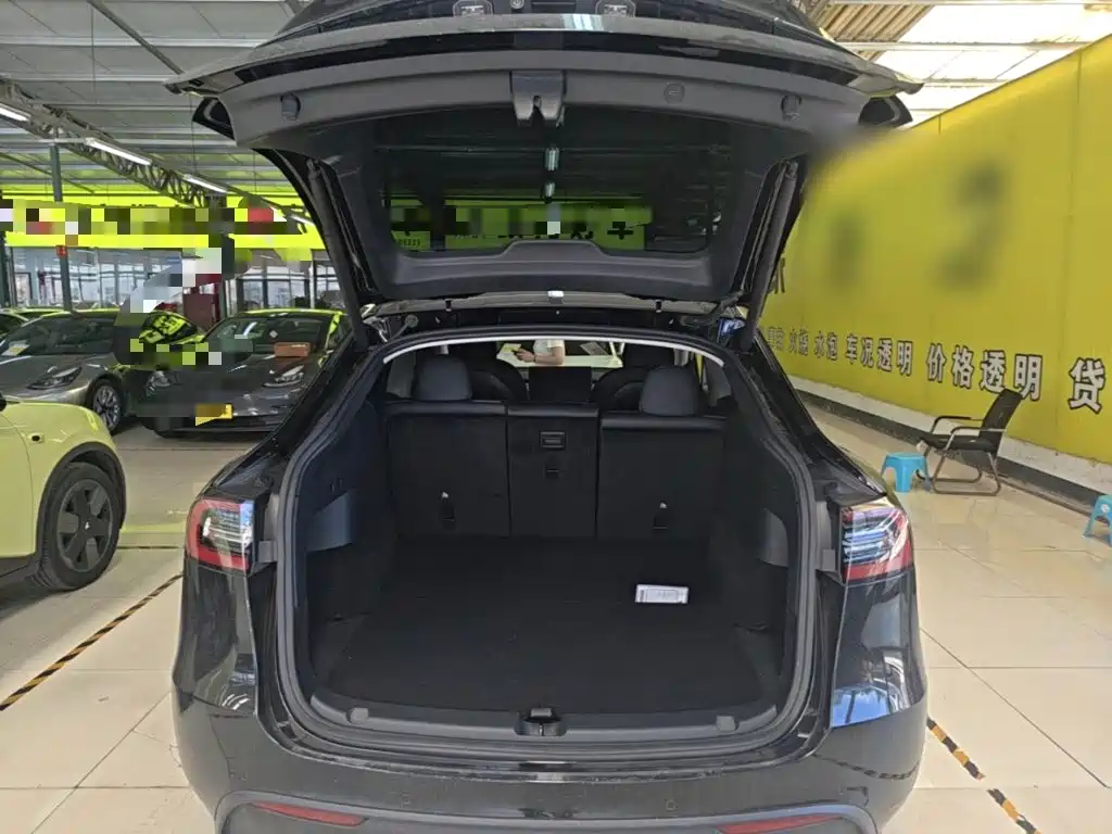Tesla Model Y — миниатюра 19
