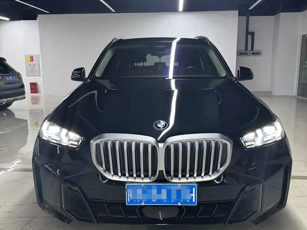 BMW X5 — миниатюра 2